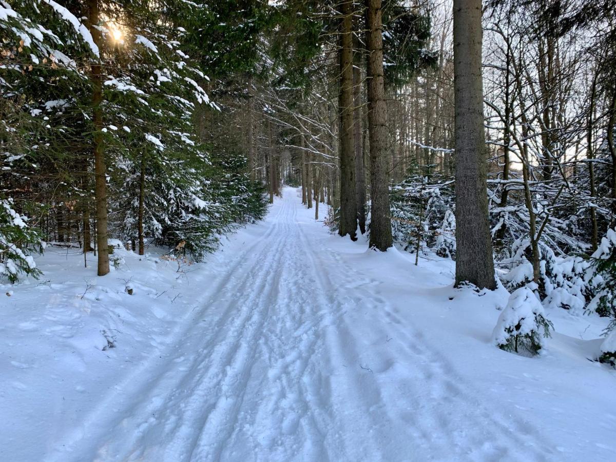 Haus Donnerberg Rehefeld Leilighet Altenberg Eksteriør bilde