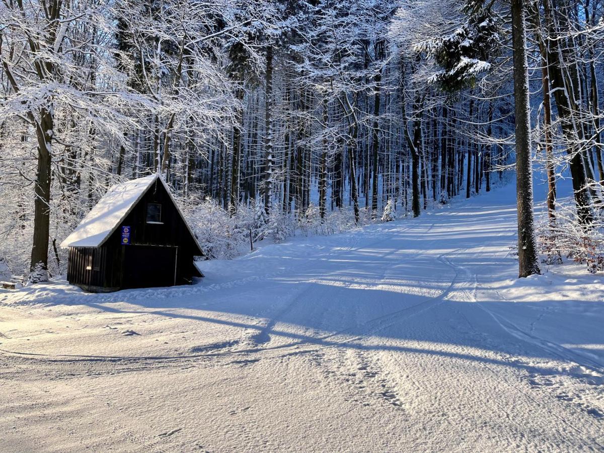 Haus Donnerberg Rehefeld Leilighet Altenberg Eksteriør bilde