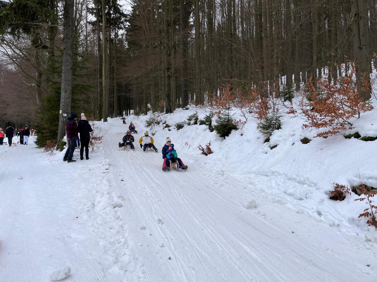 Haus Donnerberg Rehefeld Leilighet Altenberg Eksteriør bilde